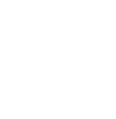 IT budget icon